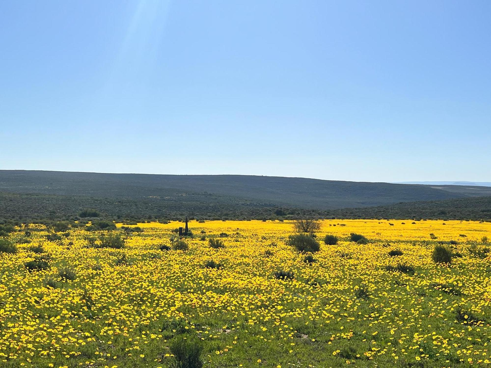 克兰威廉Simbavati Cederberg Ridge别墅 外观 照片