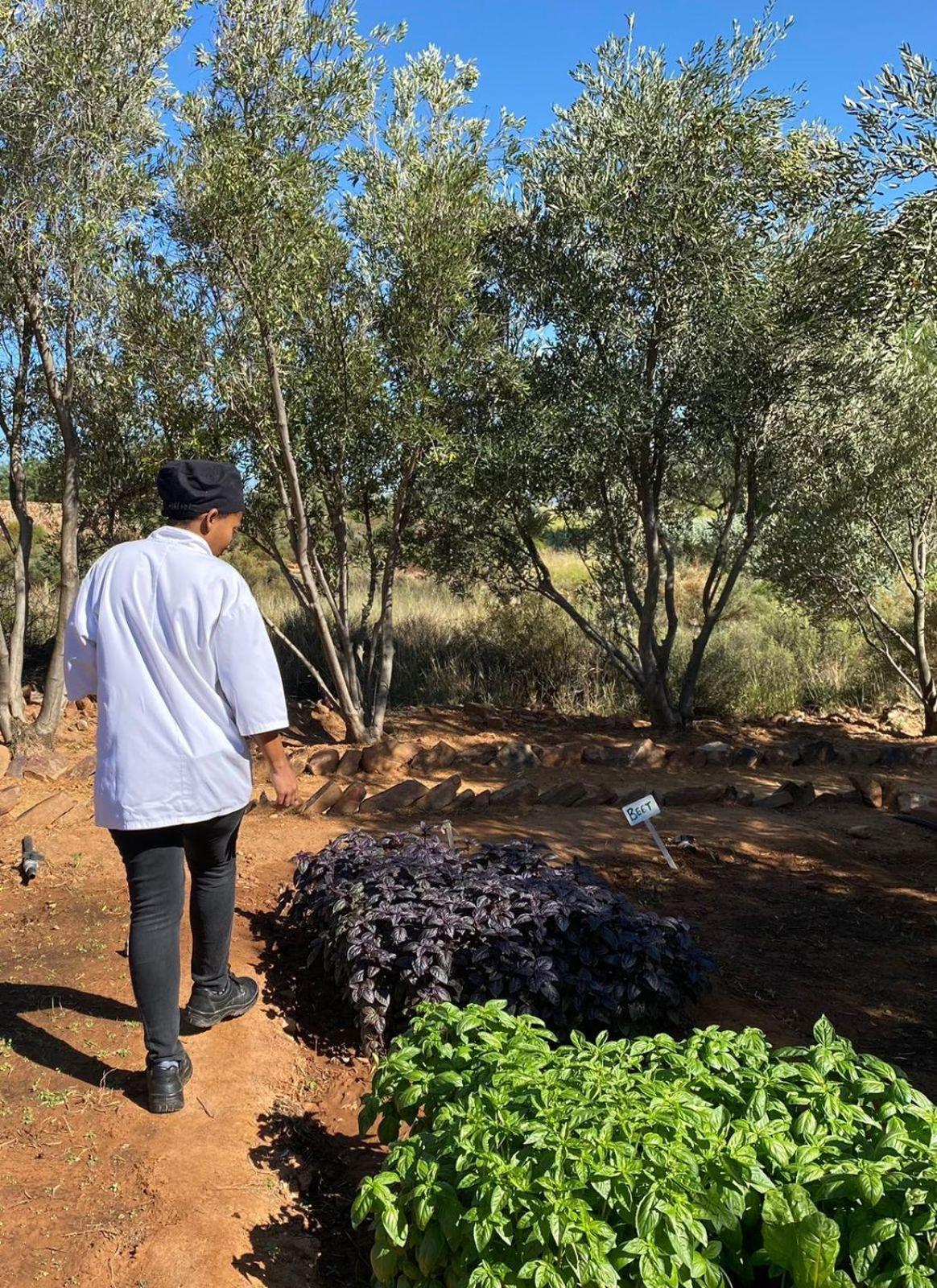 克兰威廉Simbavati Cederberg Ridge别墅 外观 照片