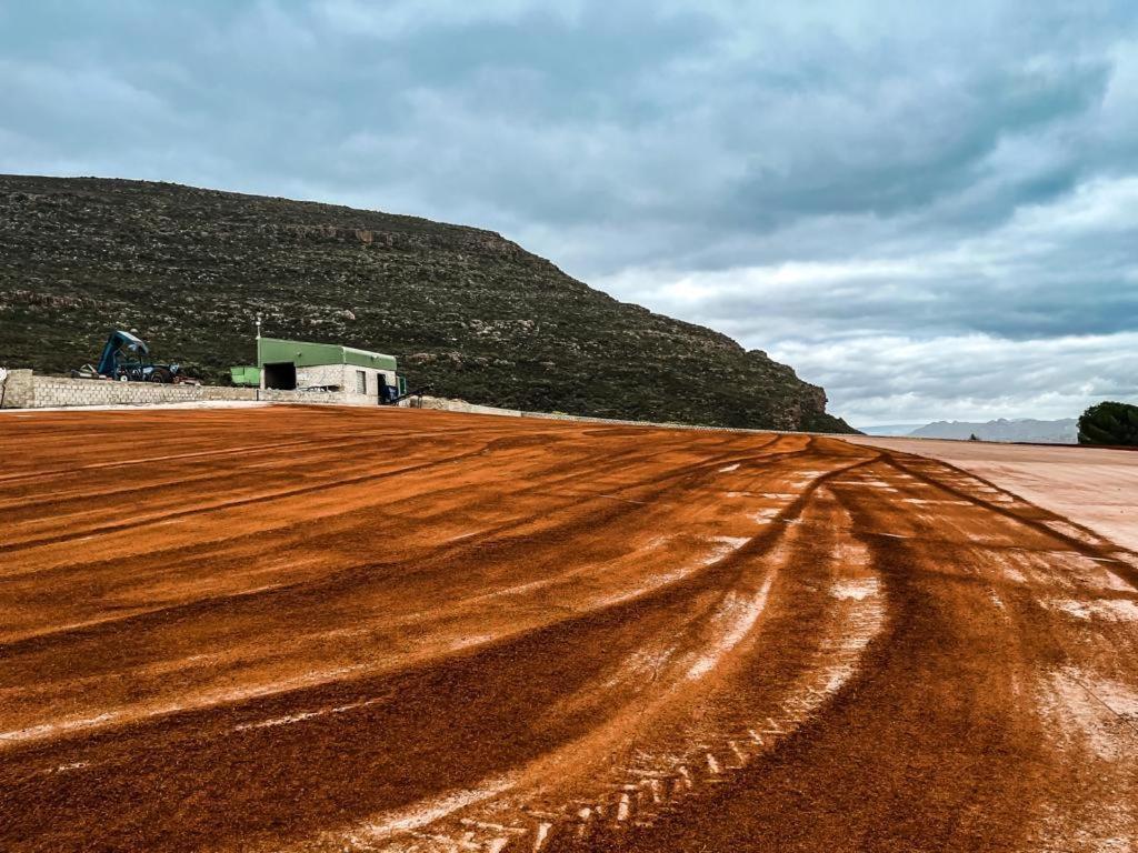 克兰威廉Simbavati Cederberg Ridge别墅 外观 照片