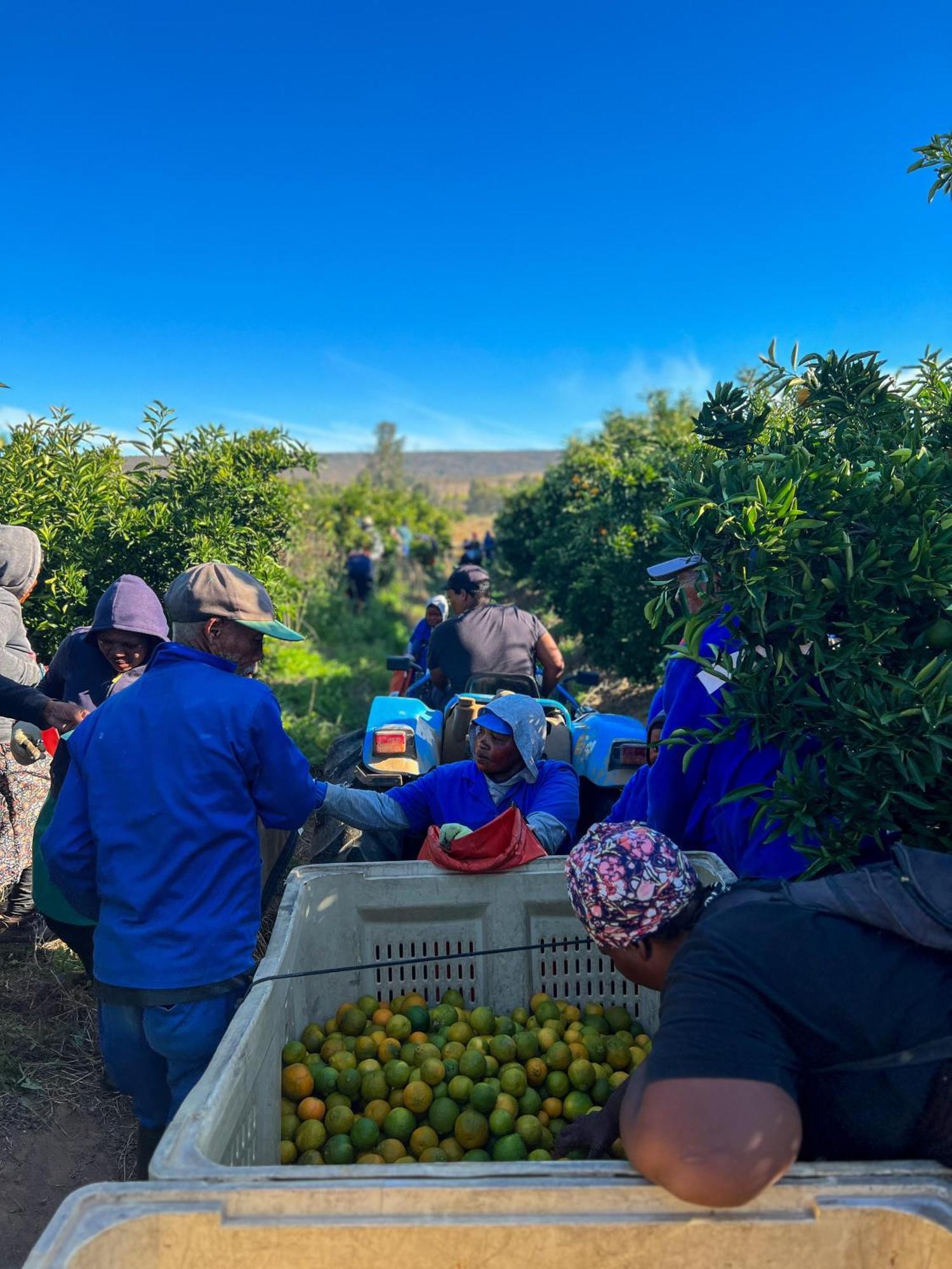 克兰威廉Simbavati Cederberg Ridge别墅 外观 照片
